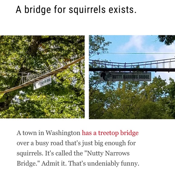 🐿# 2 Like NEW FOLLOW GAME-listing #3 🐿 - Picture 5 of 16